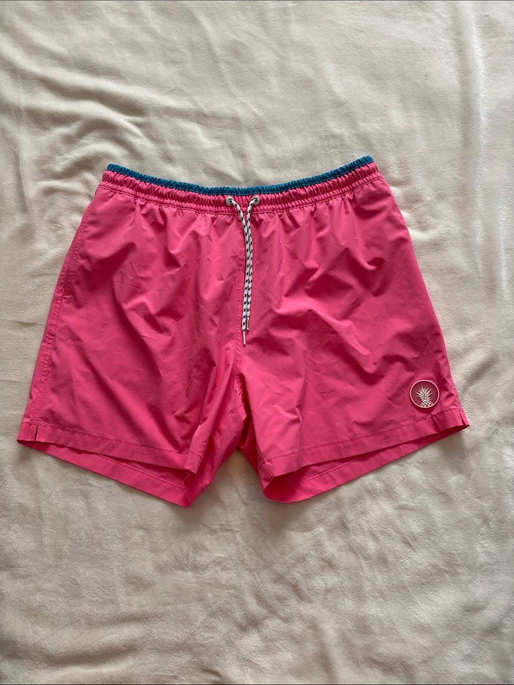 Men’s Chubbies “The Avalon” Swim Trunks 5.5”